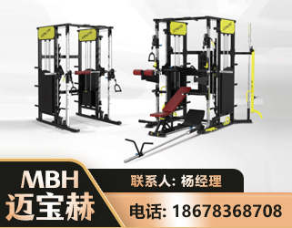 太原多功能综合训练器